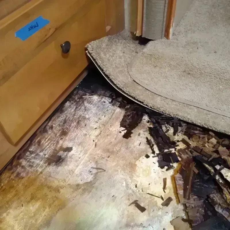 Best Wood Floor Water Damage Service in Terrell Hills, TX